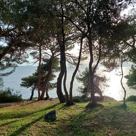 Apartmani B&B Ližnjan