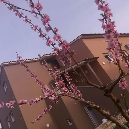 Apartmani B&B