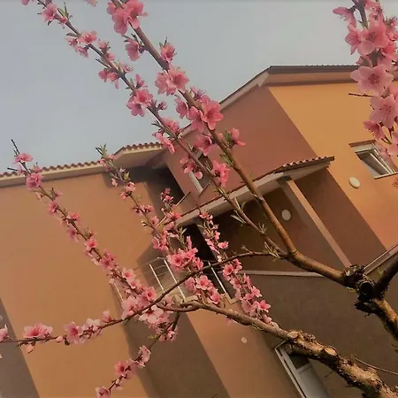 Apartmani B&B Apartmán Ližnjan